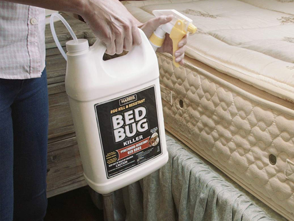 How Can A Pest Control Company Deal With Bedbugs?