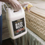 How Can A Pest Control Company Deal With Bedbugs?